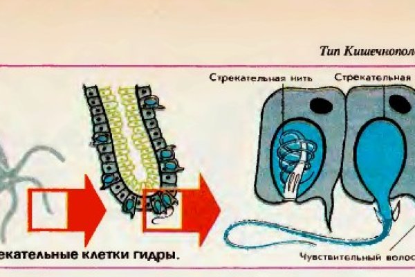 Правильная ссылка на кракен