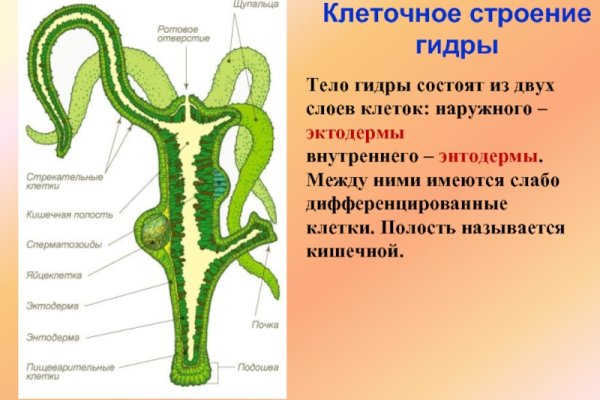 Даркнет площадки