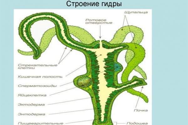 Ссылки даркнет