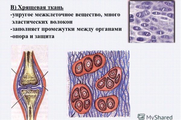 Кракен вход